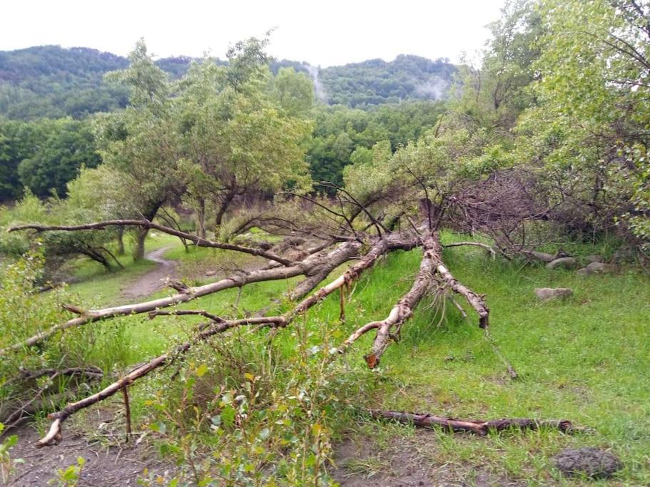 Atico En Pleno Pirineo Apartamento El Pueyo de Jaca Exterior foto