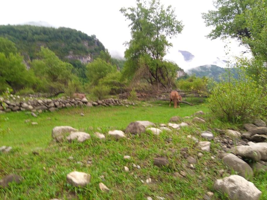 Atico En Pleno Pirineo Apartamento El Pueyo de Jaca Exterior foto