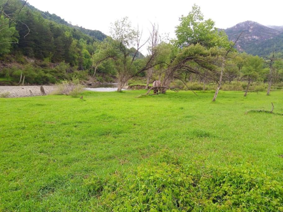 Atico En Pleno Pirineo Apartamento El Pueyo de Jaca Exterior foto